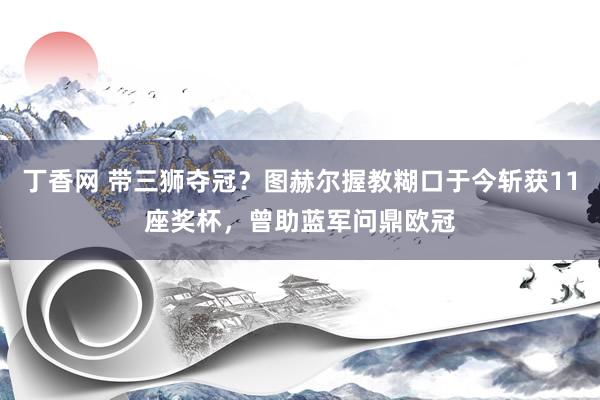 丁香网 带三狮夺冠？图赫尔握教糊口于今斩获11座奖杯，曾助蓝军问鼎欧冠