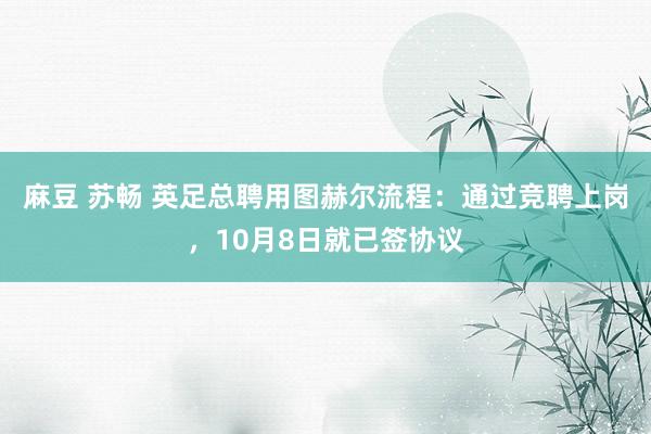 麻豆 苏畅 英足总聘用图赫尔流程：通过竞聘上岗，10月8日就已签协议