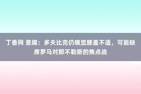 丁香网 意媒：多夫比克仍嗅觉膝盖不适，可能缺席罗马对那不勒斯的焦点战