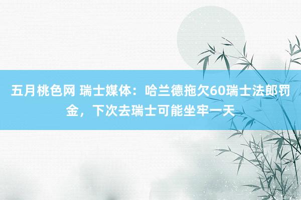 五月桃色网 瑞士媒体：哈兰德拖欠60瑞士法郎罚金，下次去瑞士可能坐牢一天